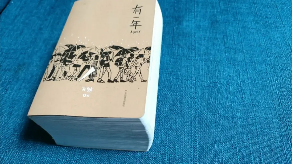 画集分享计划40】天然R超厚记录式水彩画集翻翻看——《有一年》_哔哩哔哩 