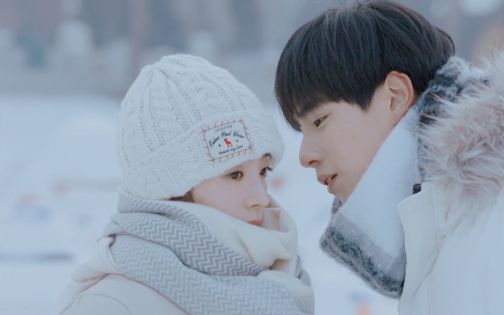 【暗恋橘生淮南】橘生淮南则为橘,生于淮北则为枳.