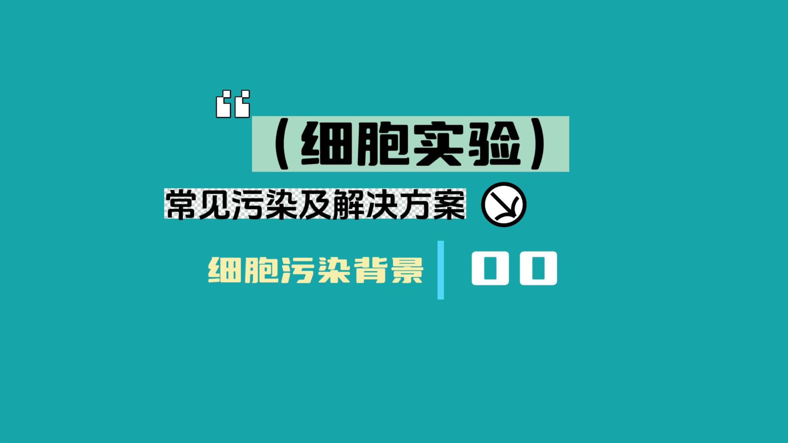 细胞实验常见污染及解决方案00背景哔哩哔哩bilibili