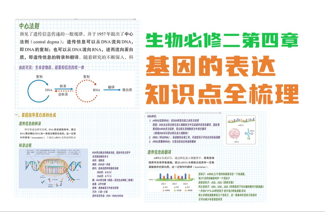 一个视频,讲完基因的表达所有知识点|遗传信息转录和翻译|中心法则|高中生物哔哩哔哩bilibili