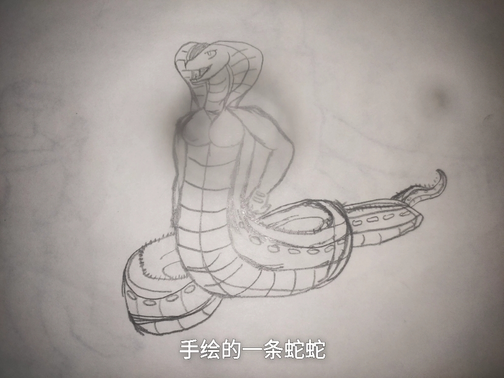 简单的画了一条蛇