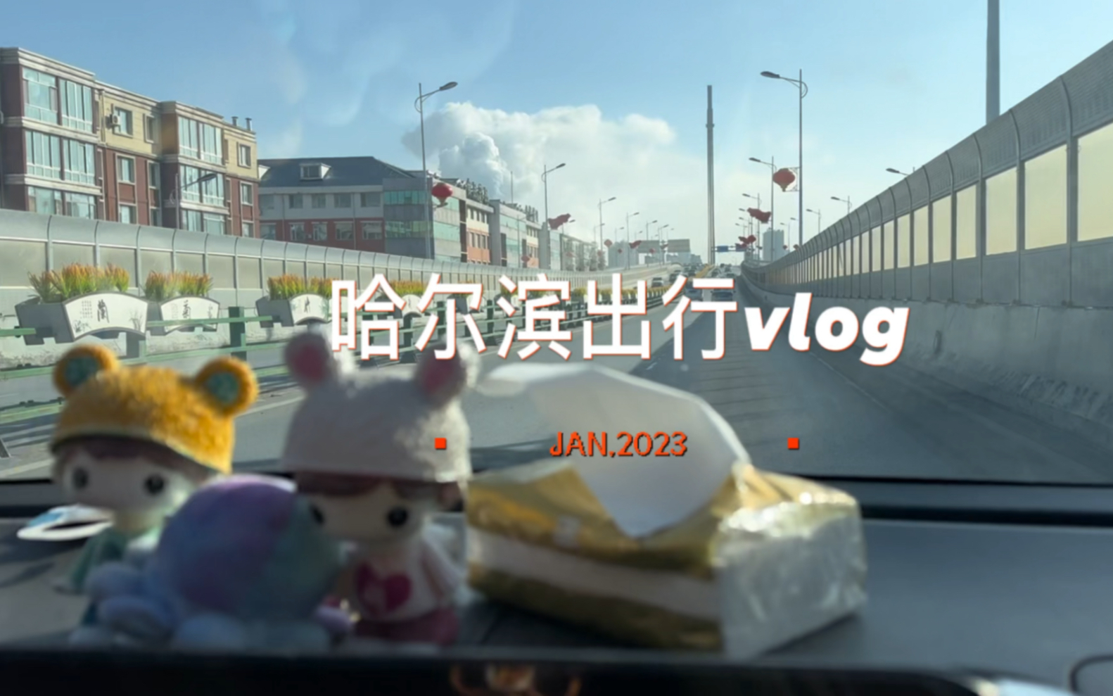 2023年1月见识了零下30度的哈尔滨哔哩哔哩bilibili