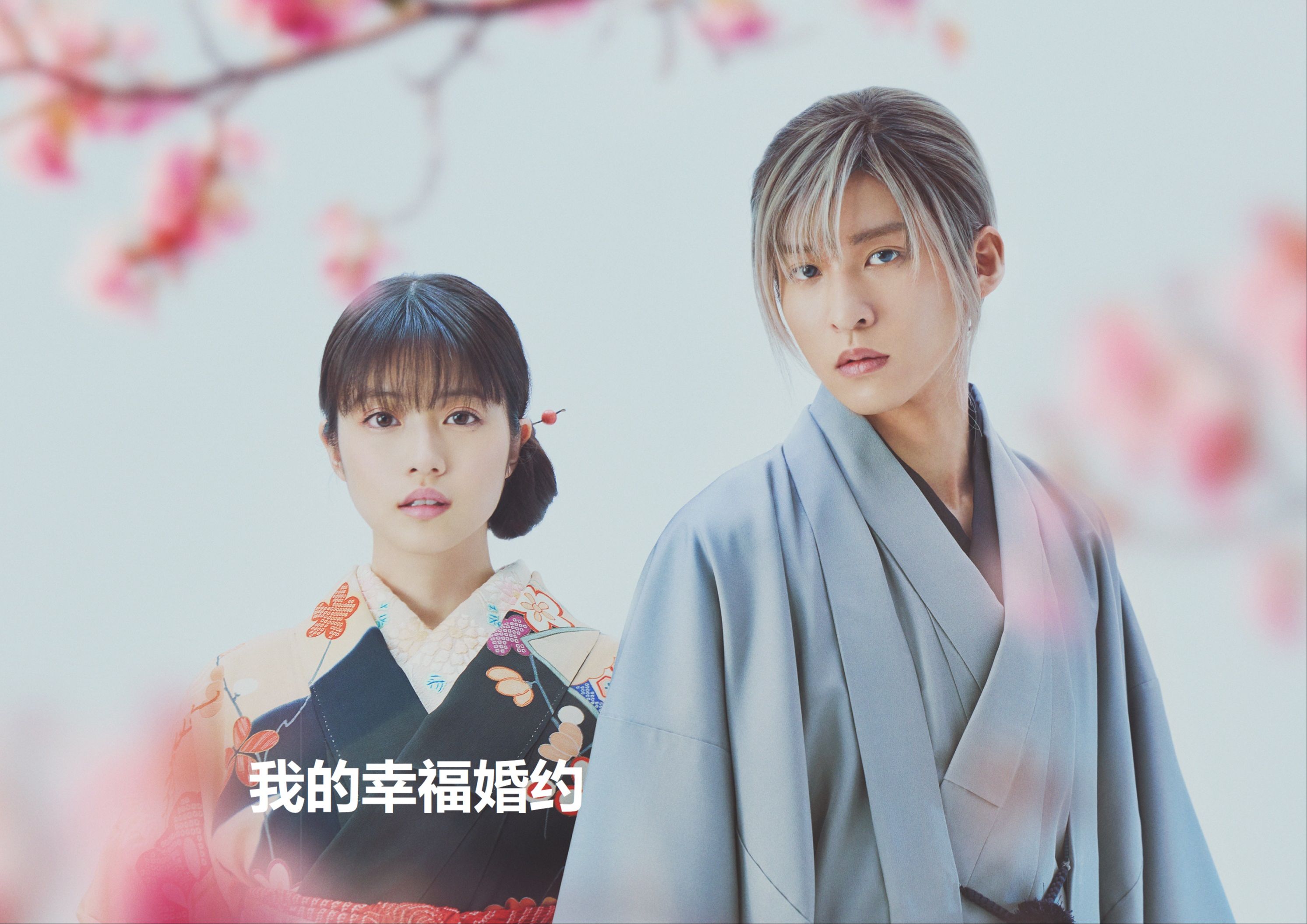 我的幸福婚约，女主出生于异能家族，却没有继承任何能力