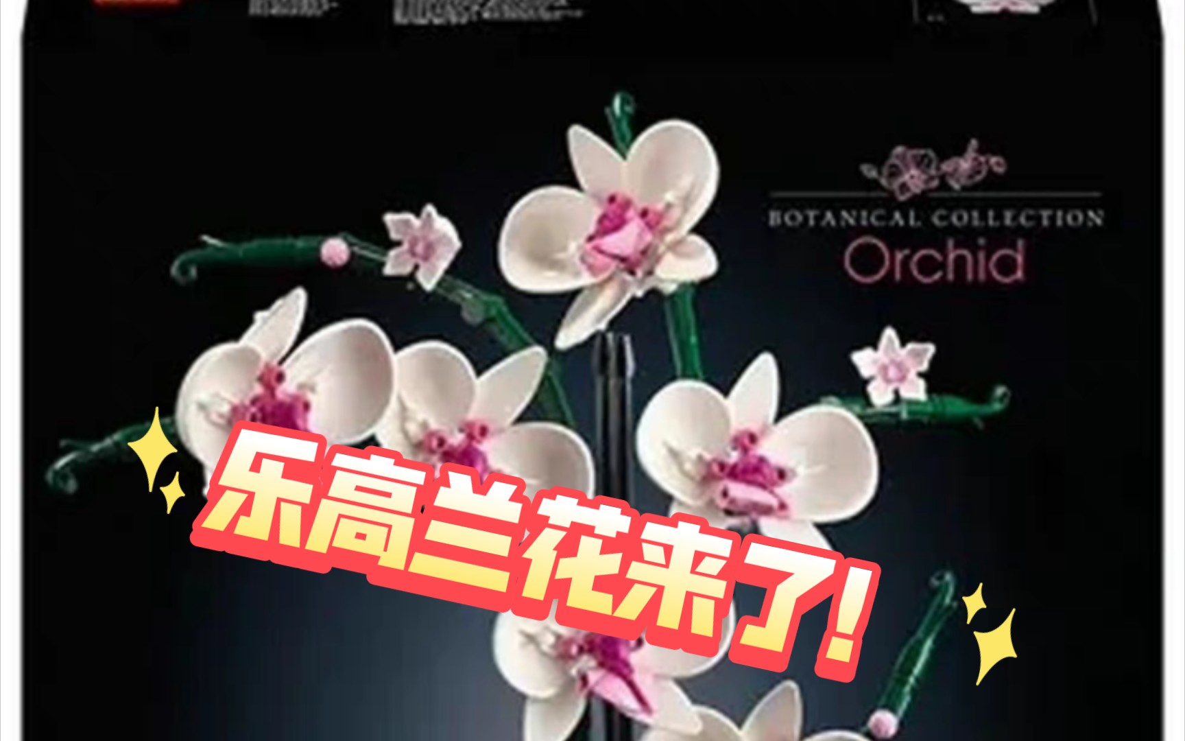 【ZHT&LEGO】乐高10311 植物系列新品 兰花官图_哔哩哔哩_bilibili
