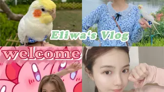 疫情下从伦敦到了日本 Vlog 8 伦敦荷兰公园 海德公园 京都花园 南肯网红樱花树 哔哩哔哩 Bilibili