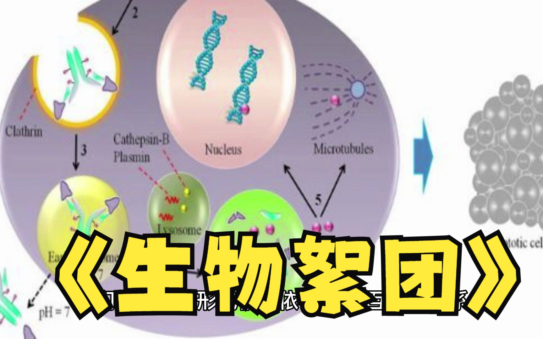 什么是生物絮团
