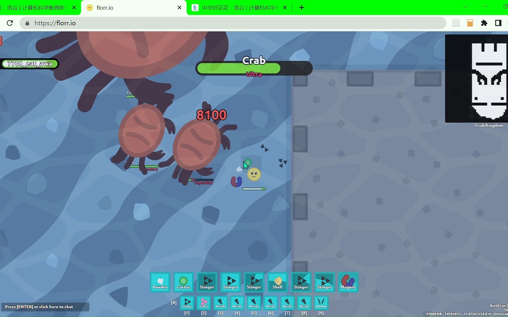 【florr.io】连ultra crab都打不过的屑