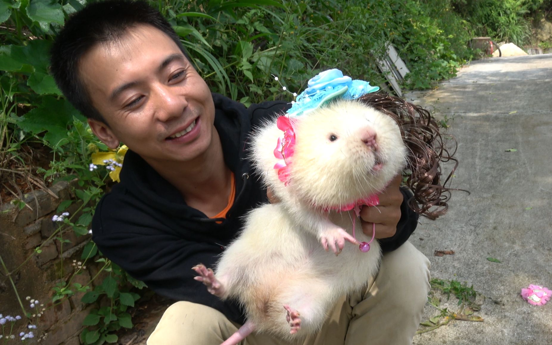 华农兄弟:给小白穿上女装后,更漂亮了