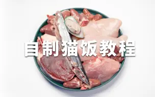 Tải video: 6年猫舍自制营养猫饭养经验分享，内附食谱