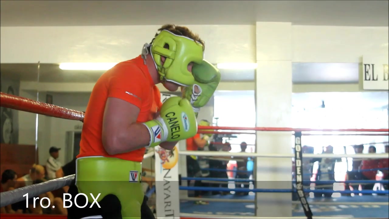 【转】阿瓦雷兹2013训练营片段