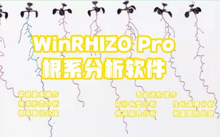 [图]植物根系分析系统WinRHIZO Pro 软件操作演示视频((精华版)