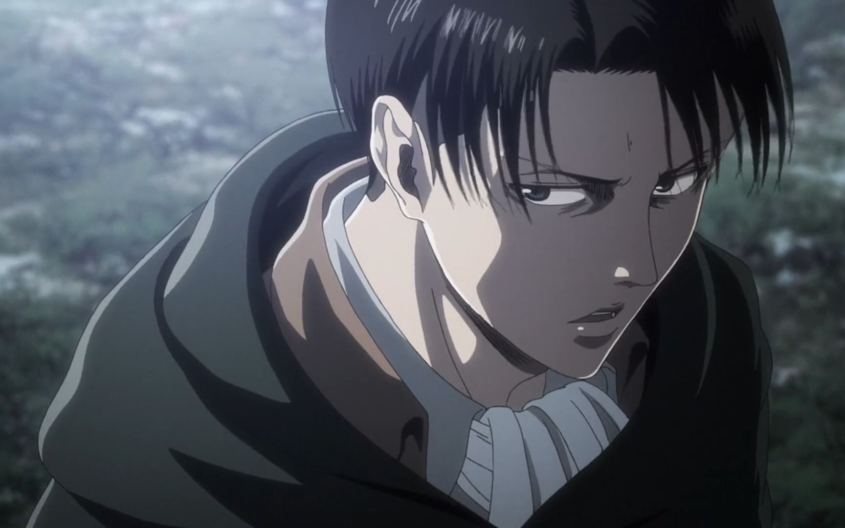 你管这叫利威尔?