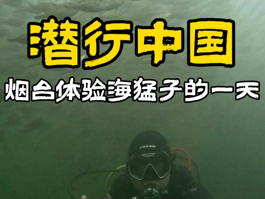 基本工资2500/天,好点过万,每天海鲜自由,这样的工作怎么样?哔哩哔哩bilibili