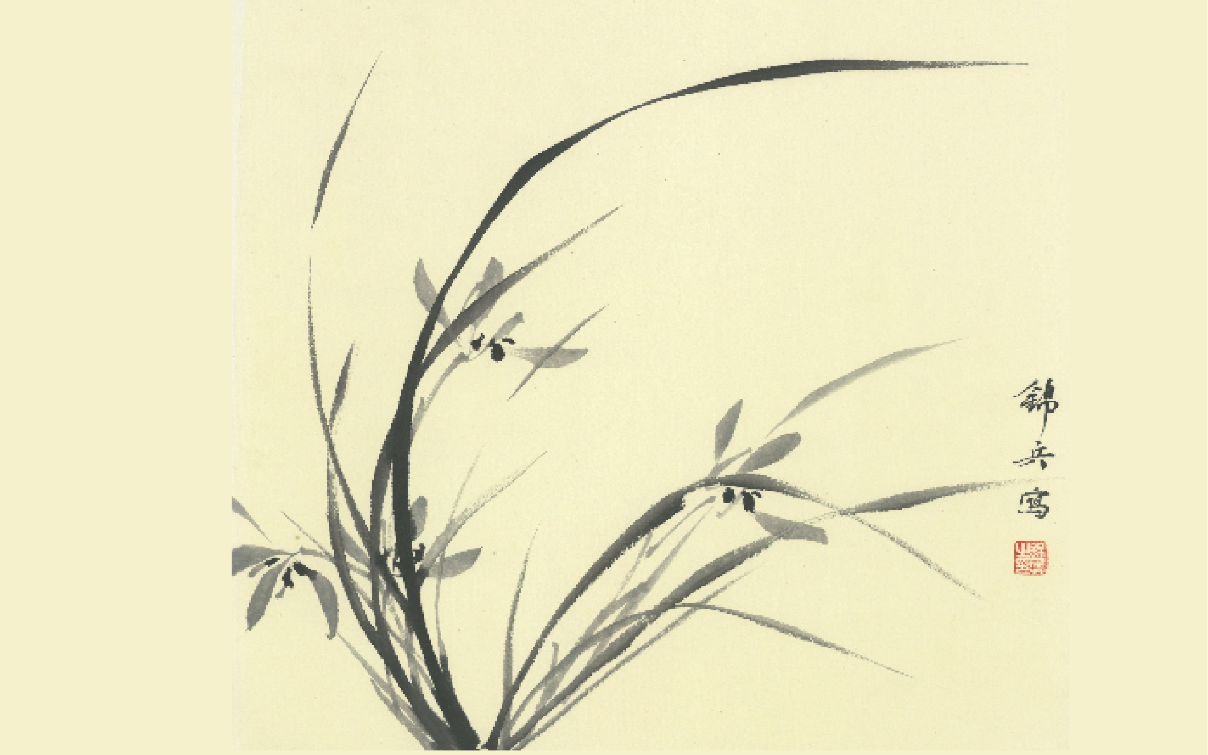 国画林锦兵水墨兰花教程