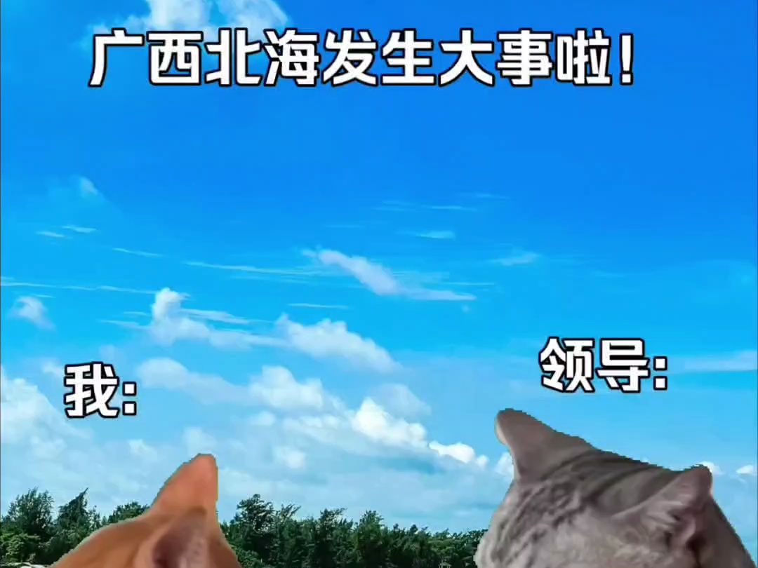 seas课程圆满结束,学习与快乐并存,感谢意大利米歇尔·罗曼诺老师!