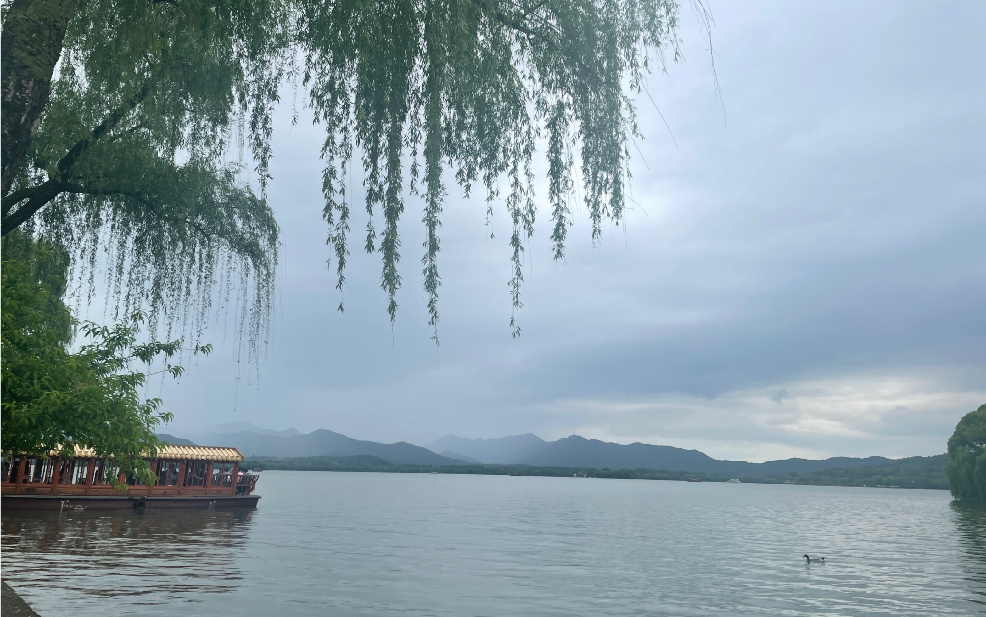 雨天西湖美景图片图片