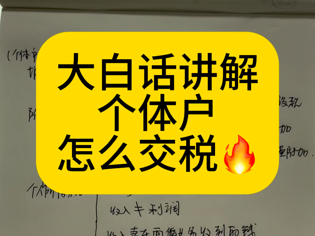 会计实操|个体户怎么交税大白话讲解|零基础学会计哔哩哔哩bilibili