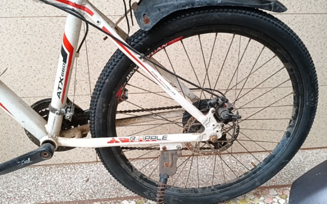 卓依婷歌迷我请问一下自行车全部换轮胎皮是不是50元