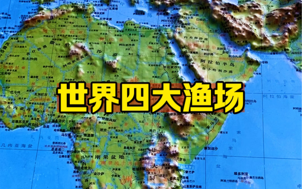 世界四大渔场哔哩哔哩bilibili