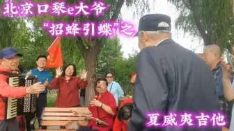 Download Video: 北京口琴e大爷“招蜂引蝶”，又招来了夏威夷吉他、电吹管