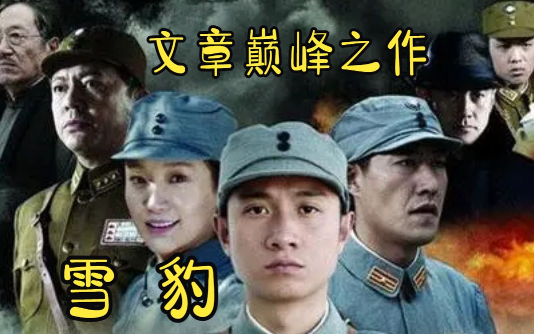 文章巅峰之作!一口气看完抗日神剧【雪豹】,全网独家最全版本,高清4K!看周卫国的传奇人生哔哩哔哩bilibili