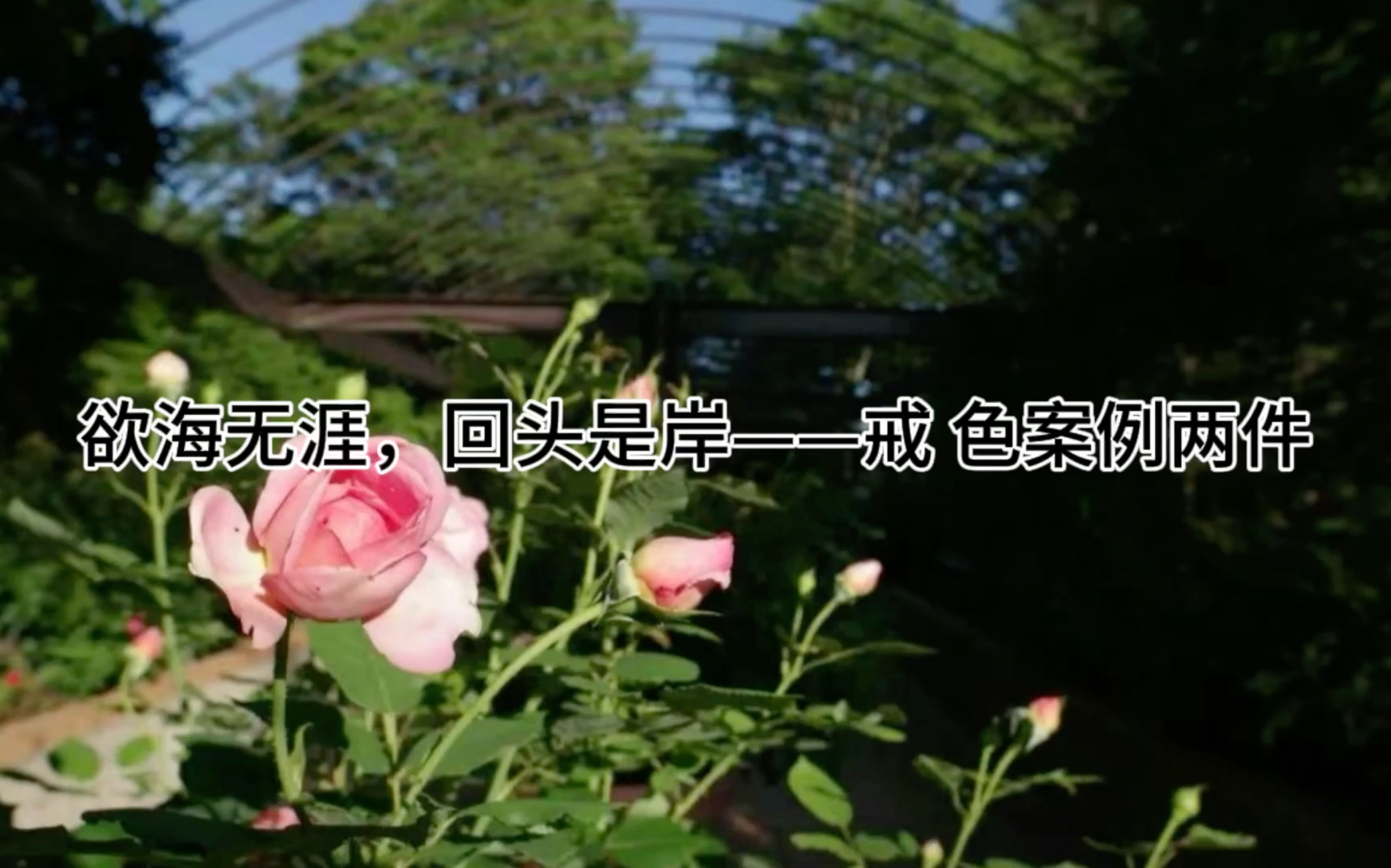 欲海无涯,回头是岸——戒色案例两件