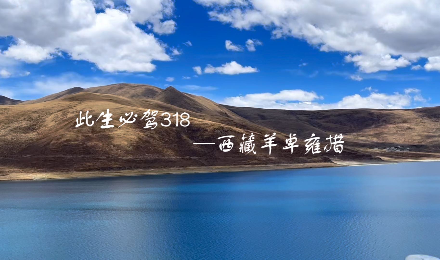 西藏羊卓雍措|此生必驾318