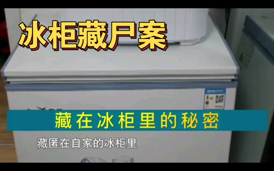 水蒙古赤峰市《冰柜藏尸案》(全集)哔哩哔哩bilibili