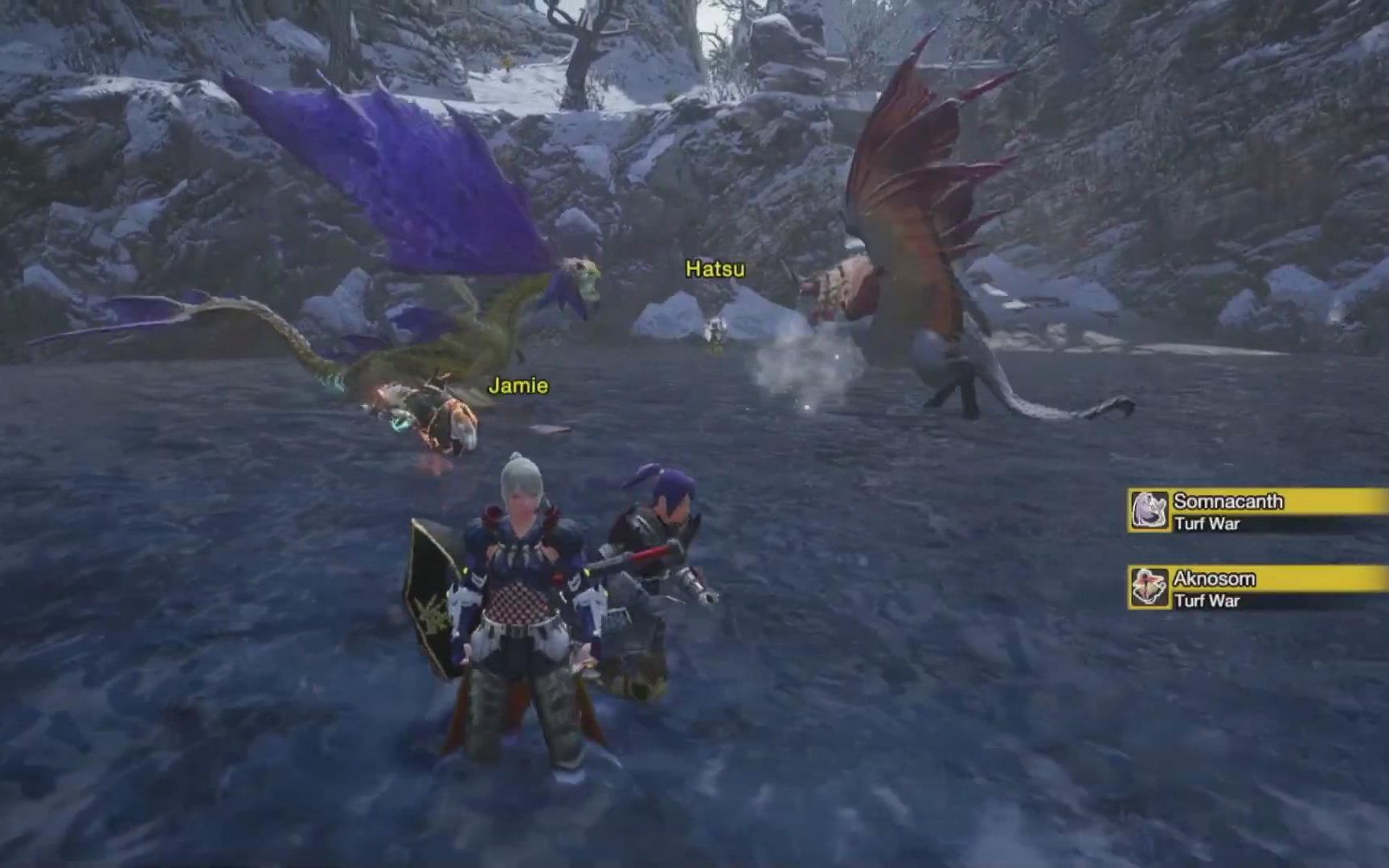 《怪物猎人崛起》地盘争夺 人鱼龙vs伞鸟