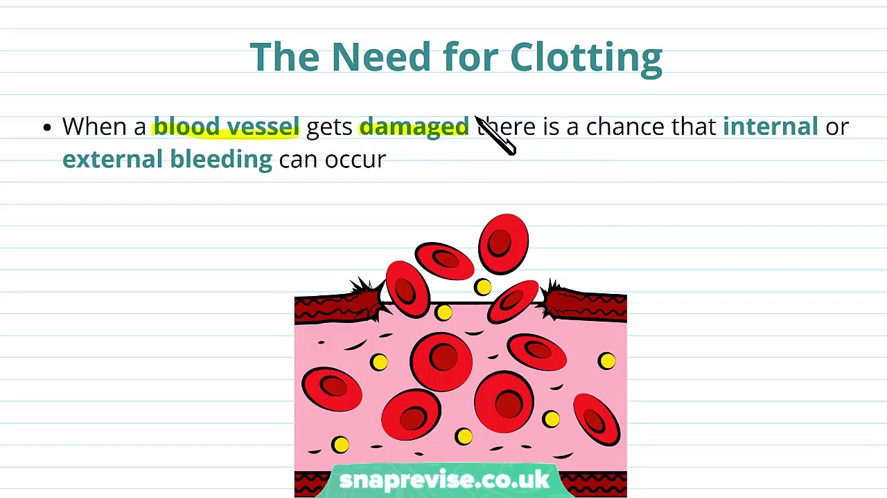 cardiovascular disease and blood clotting _ a-level biology