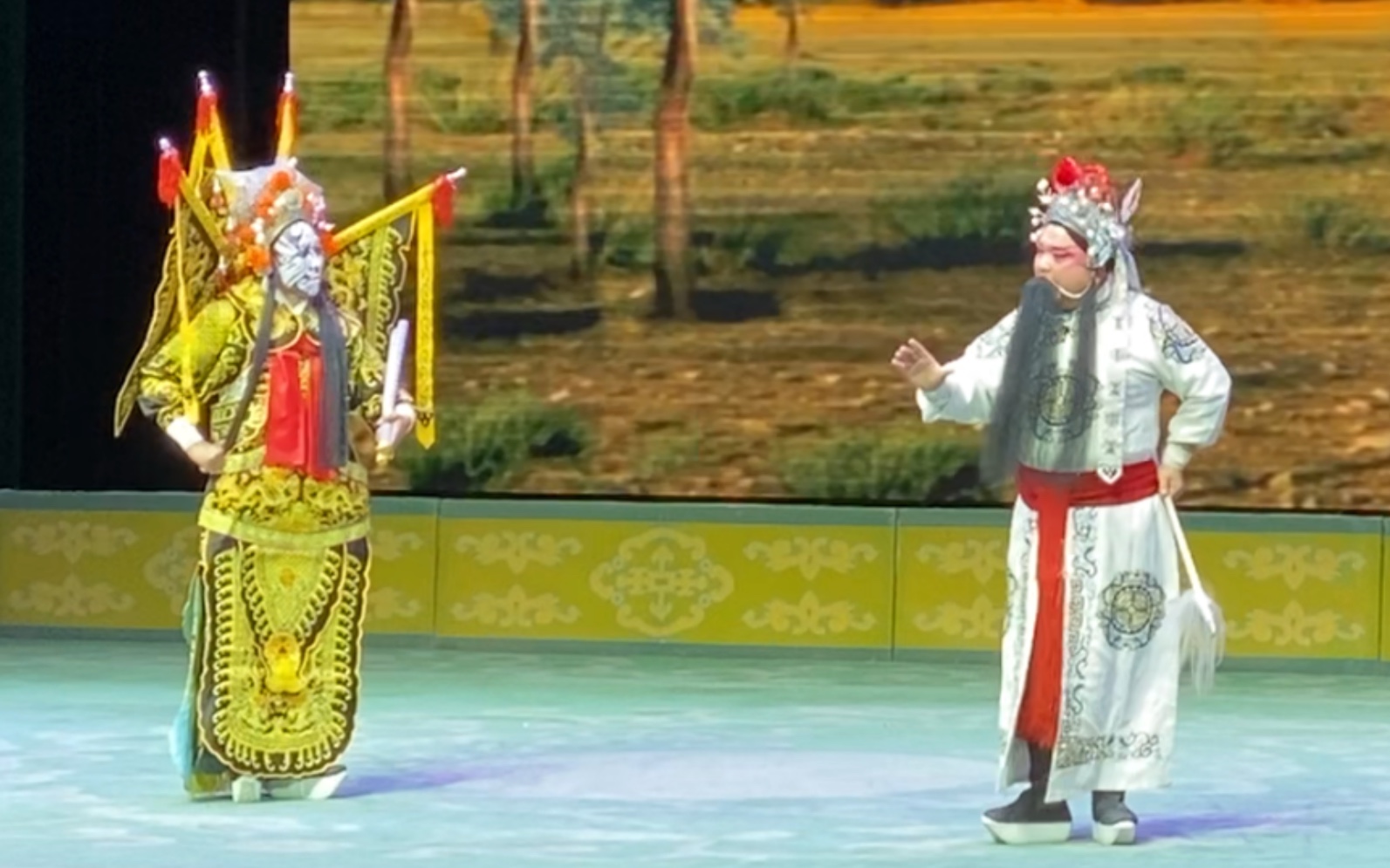 赞皇丝弦《呼延庆征西》张肖峰