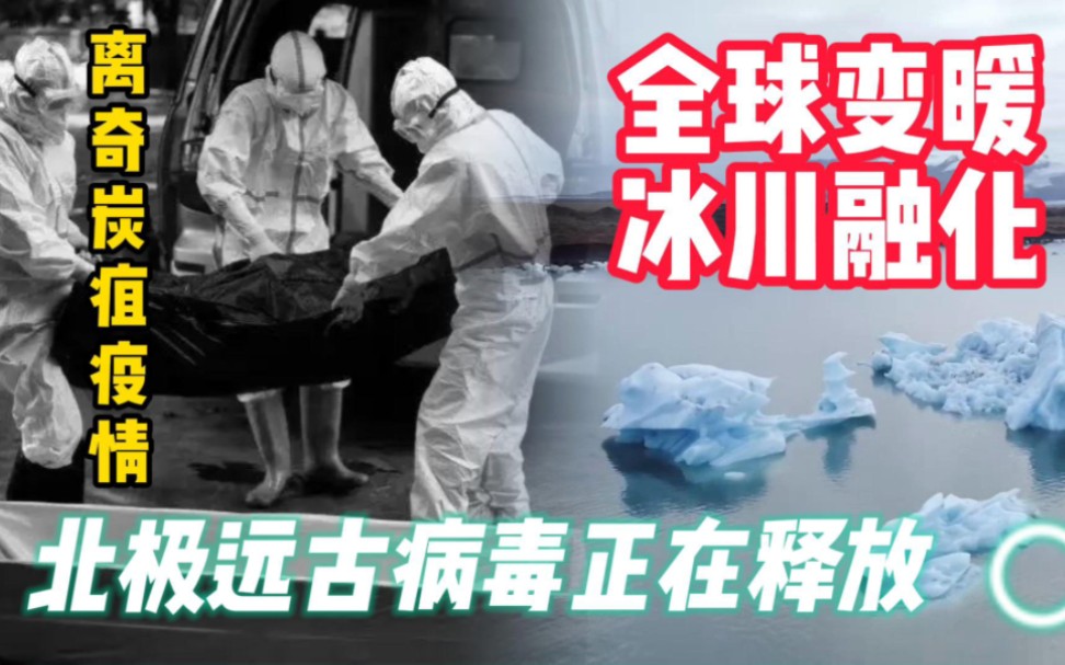 [图]北极冰川加速融化，远古病毒正在复活！失去栖身之地的海象被逼跳崖，而西方还在到处发动战争！