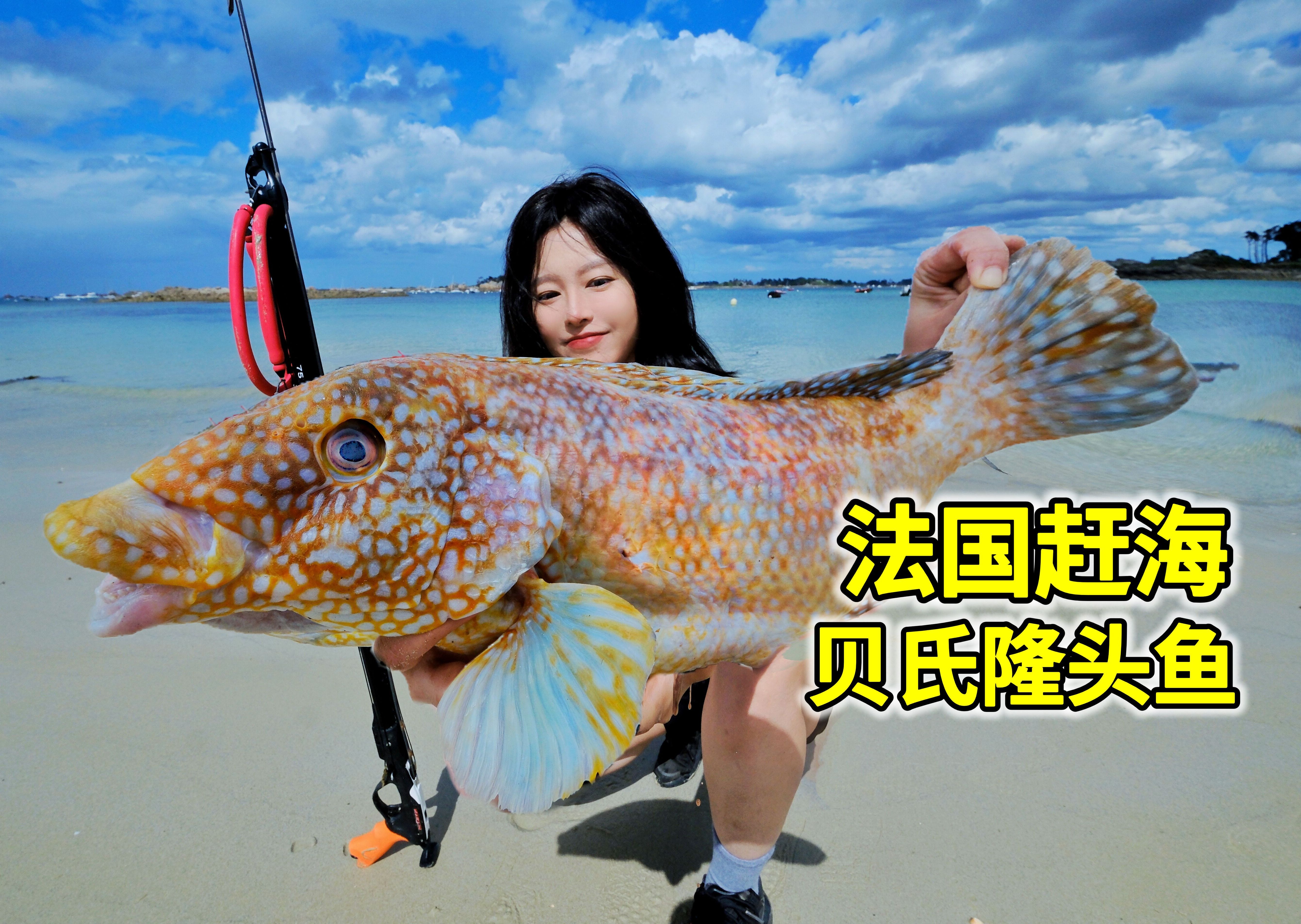 法国潜水渔猎，射4斤重斑点隆头鱼，海底螃蟹抓不完-Yooupi食途-Yooupi食途-哔哩哔哩视频