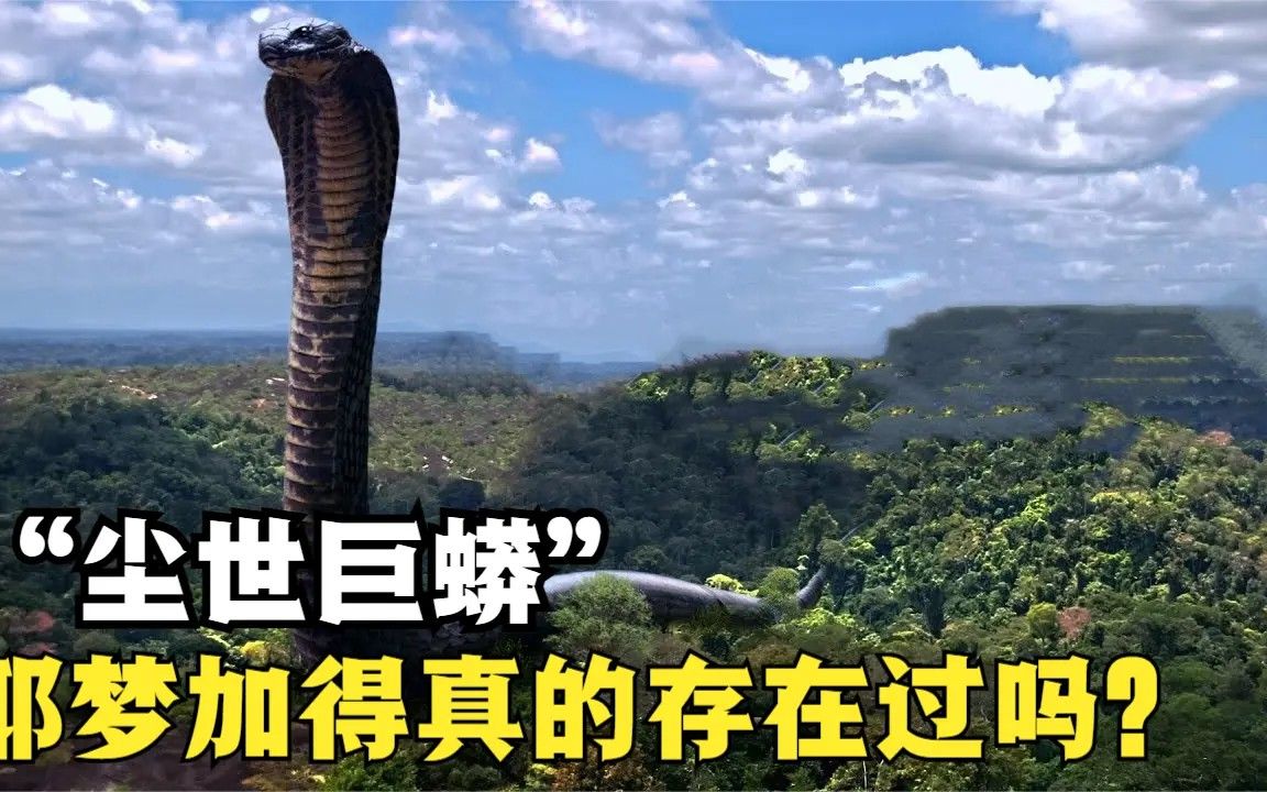 世界最大的蛇有多大,泰坦巨蟒真的存在吗,人为什么那么害怕蛇?