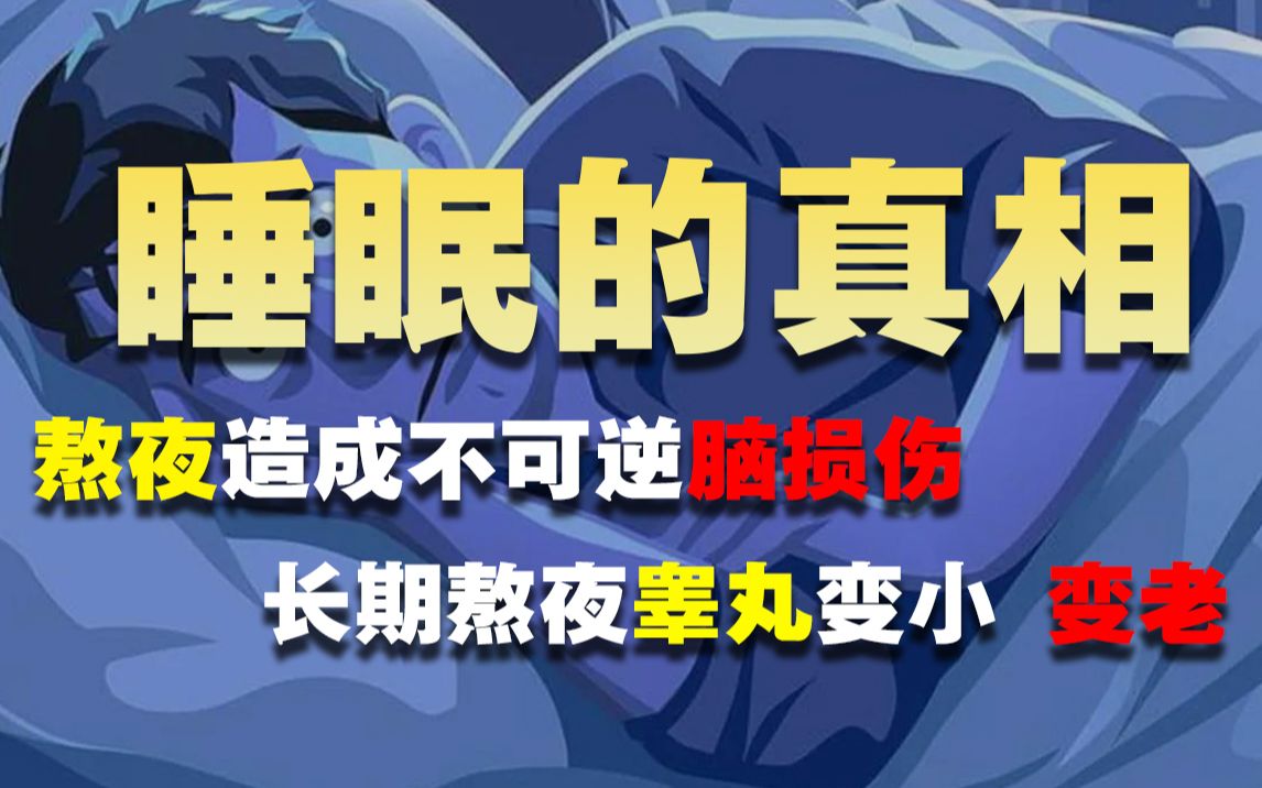 睡眠占了人类时间的30%,你真的了解它么?熬夜的危害你又知道多少?哔哩哔哩bilibili