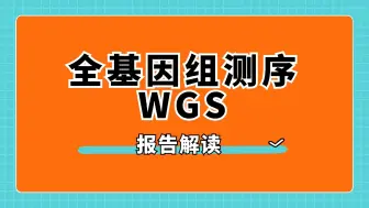 Tải video: 全基因组测序WGS报告解读