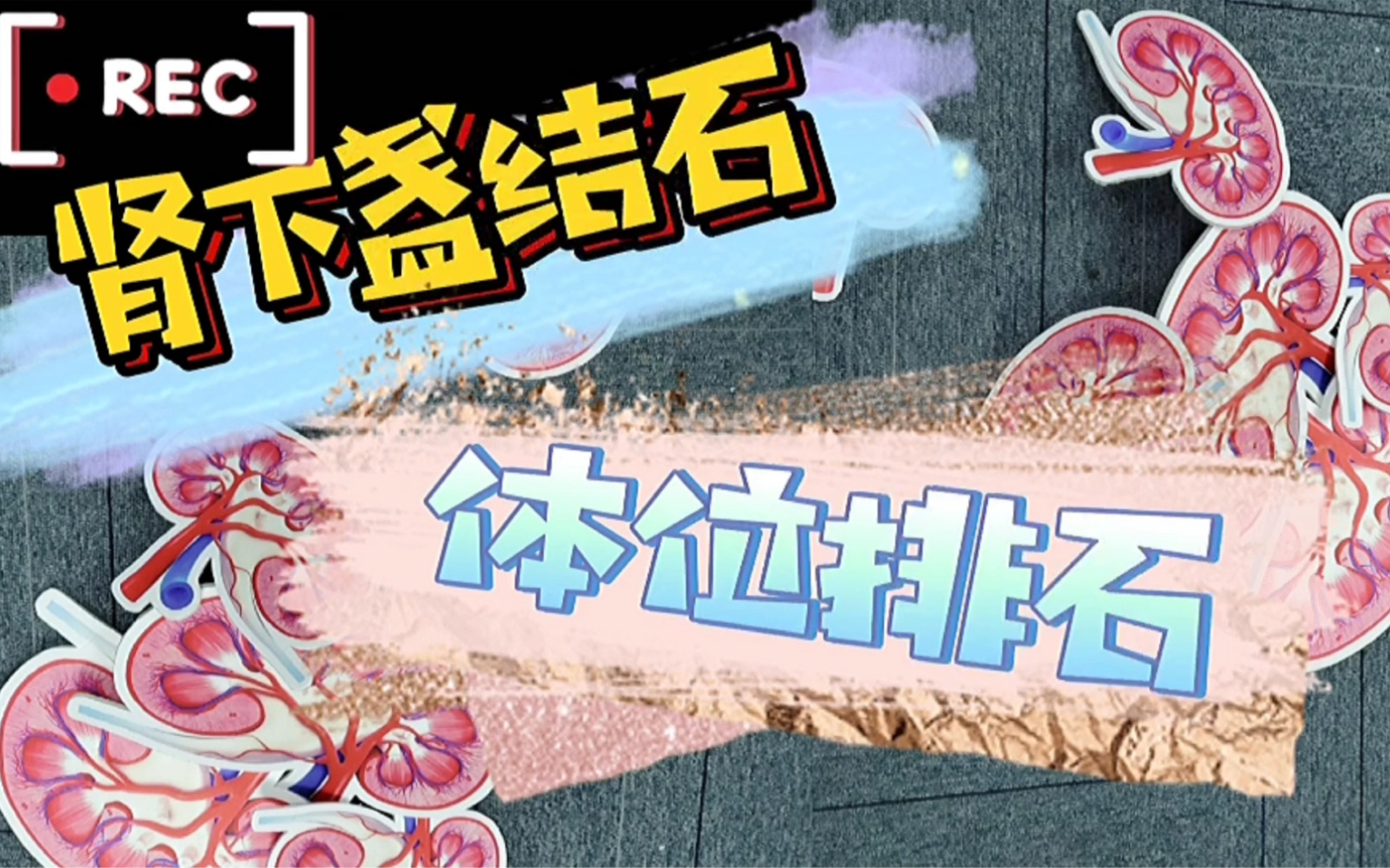 向天盏的功效与副作用(向天盏功效与副作用详解,了解更多请点击)