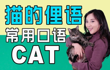 爱说英语的celili的个人空间 哔哩哔哩 Bilibili