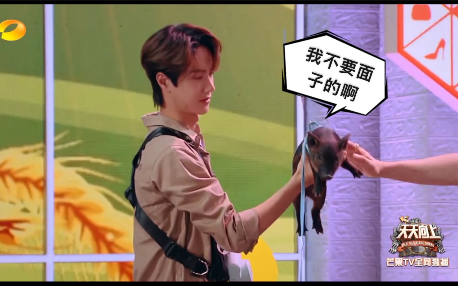 天天向上掌上明猪王一博竟单手举小猪抱宠物也很帅气的直男耶啵uniq王