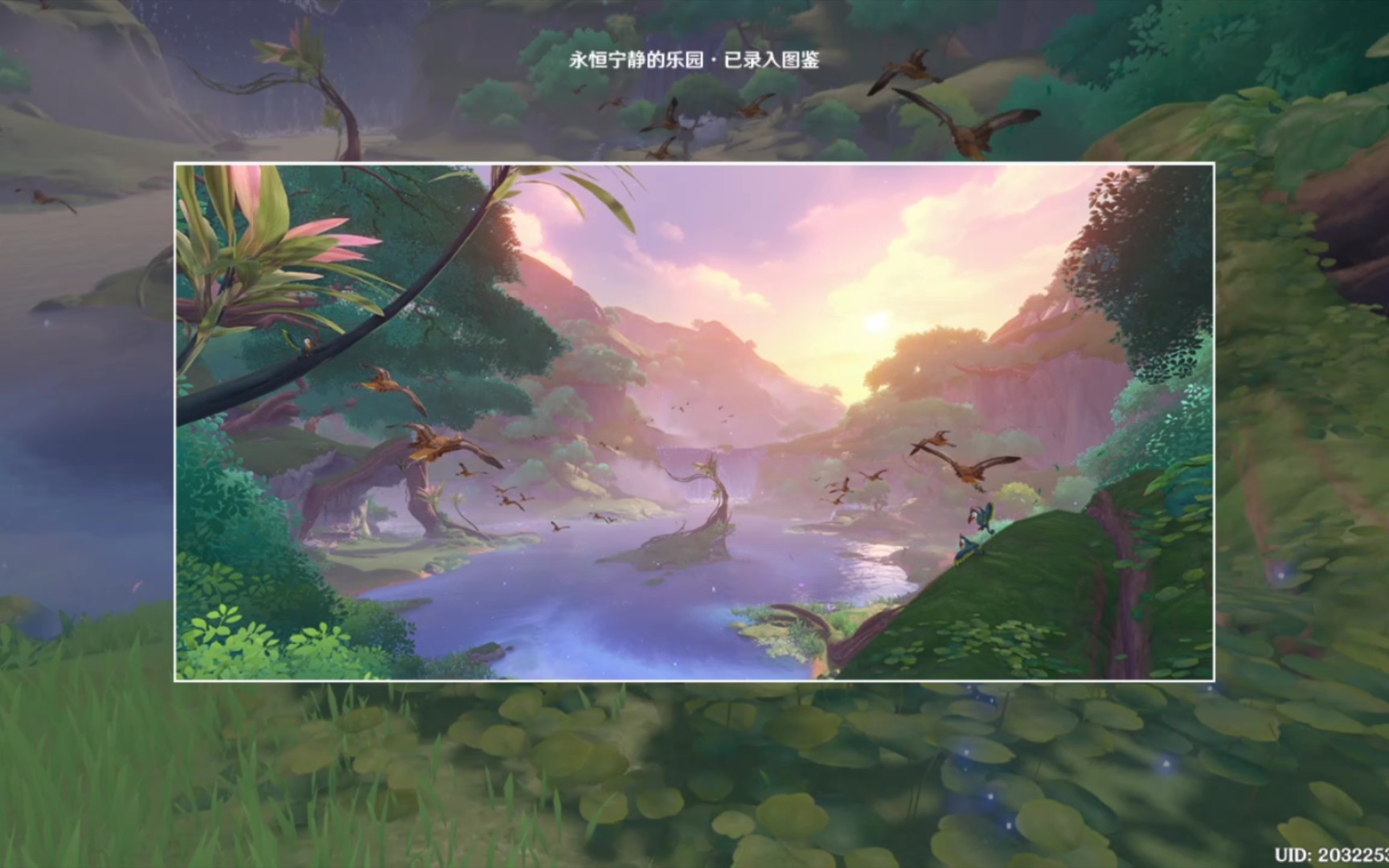 【原神3.4】观景点:「永恒宁静的乐园」