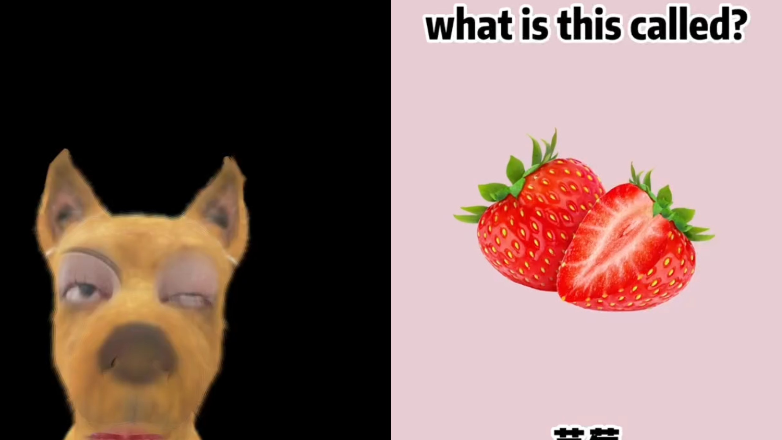学完这一堆 berry，我“莓”了