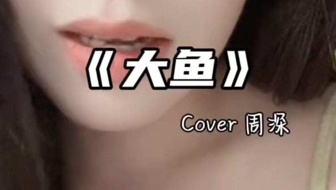 《大鱼》cover周深哔哩哔哩bilibili