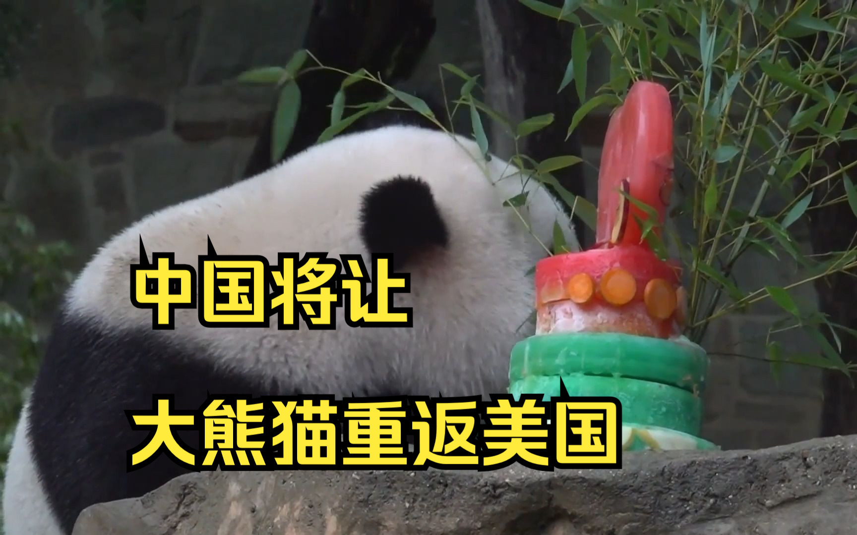 中美"熊猫外交"将继续