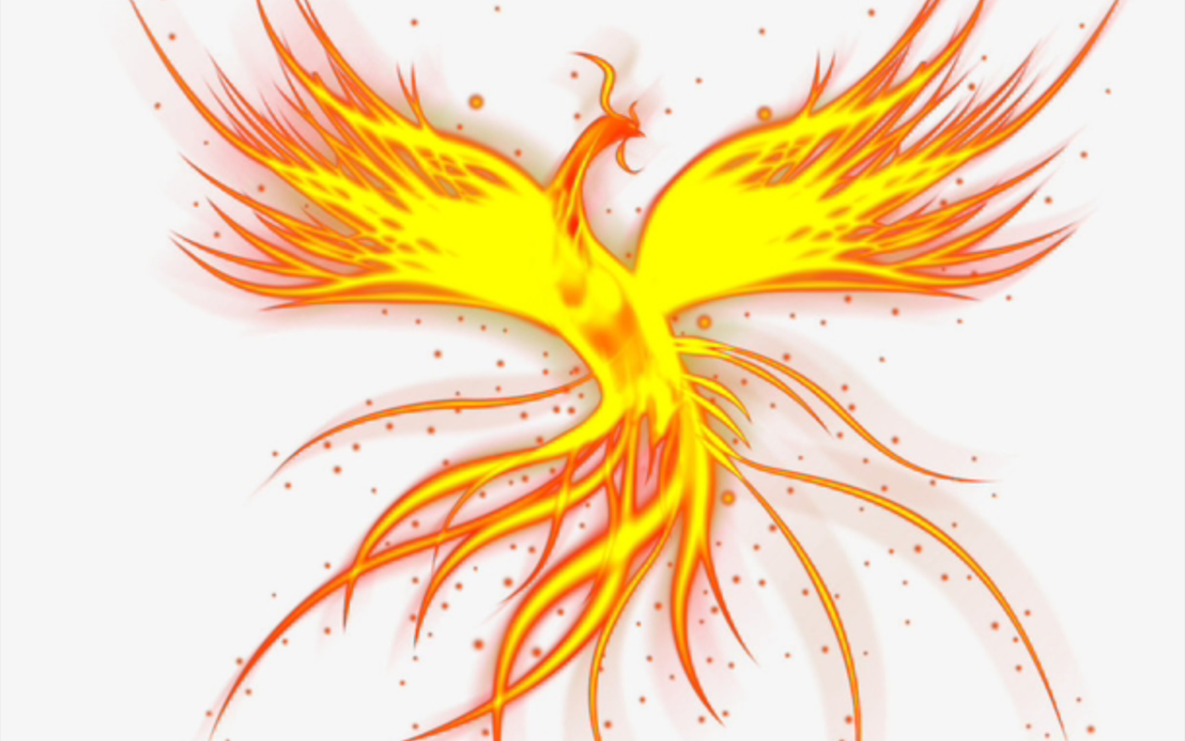 这小凤凰我能玩一整天(山总摸鱼)_哔哩哔哩_bilibili