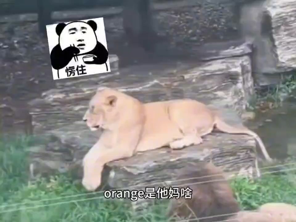 所以说狮子不念tiger,到底念啥?哔哩哔哩bilibili