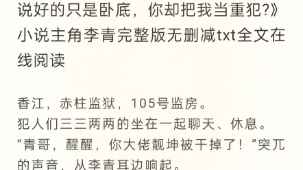 《港片:说好的只是卧底,你却把我当重犯?》小说主角李青全文哔哩哔哩bilibili