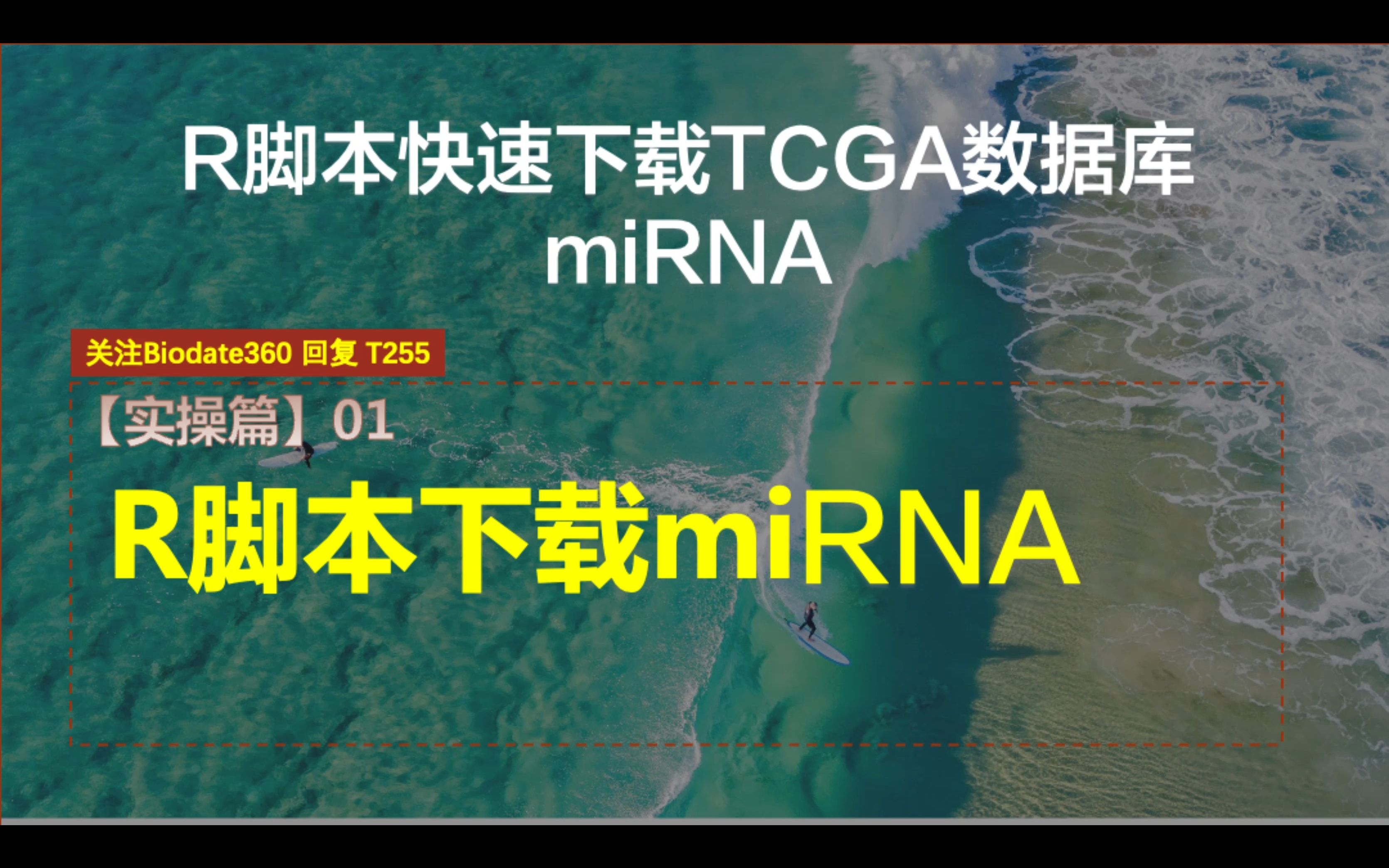 T40.新版TCGA下载miRNA,R语言TCGAbiolinks使用指南,简单方便的下载方法【生信A计划】哔哩哔哩bilibili