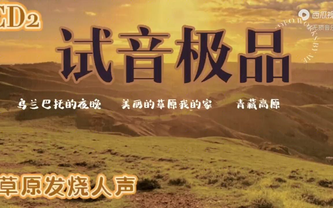 [图]无损发烧音乐试音极品草原发烧人声CD2