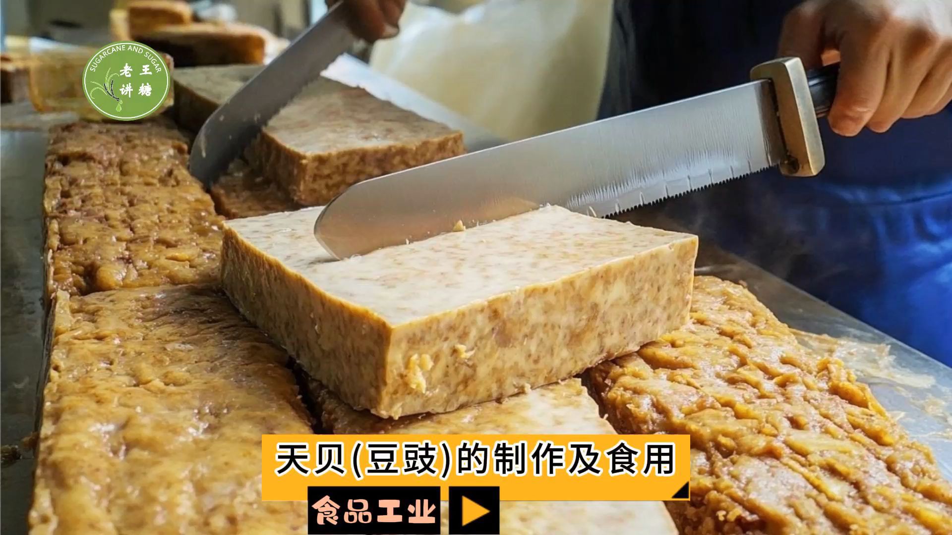 食品工业之——天贝(豆豉)的制作及食用(老王讲糖系列视频)哔哩哔哩bilibili