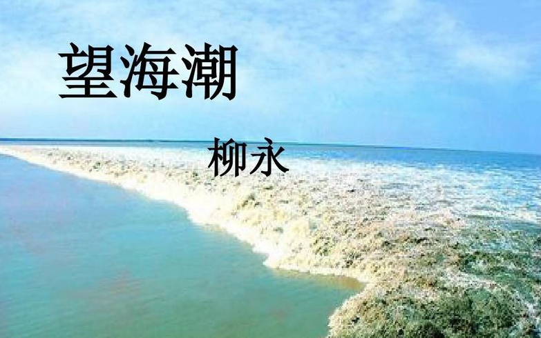 【课件】《古词望海潮(东南形胜)柳永》部编人教版 统编版 高中语文 教材 选修 下册 YW205017,高二,高三,上学期 ,下学期哔哩哔哩bilibili